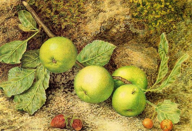 Hill, John William Still Life with Fruit and Fly oil painting picture